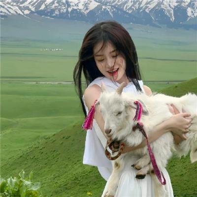 报告老师我是东北银